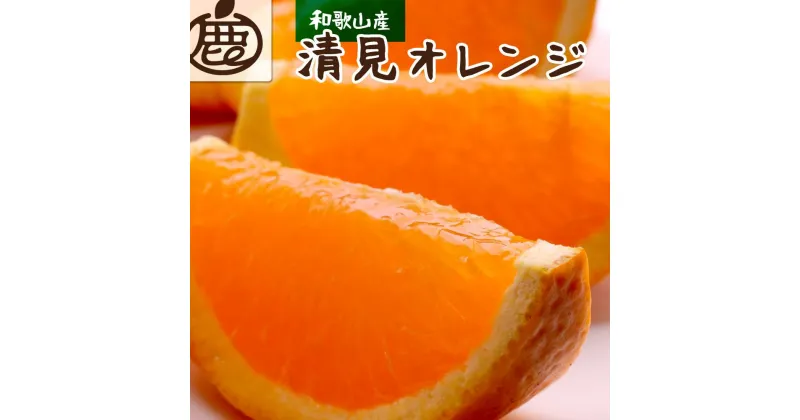 【ふるさと納税】＜2月より発送＞厳選 清見オレンジ5kg+150g（傷み補償分）【光センサー食頃出荷】【樹上完熟きよみオレンジ】 | フルーツ 果物 くだもの 食品 人気 おすすめ 送料無料