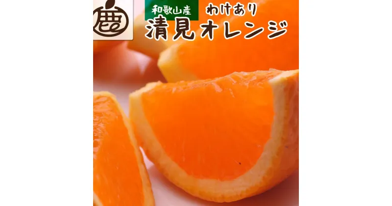 【ふるさと納税】＜2月より発送＞家庭用 清見オレンジ5kg+150g（傷み補償分）【光センサー食頃出荷】【わけあり・訳あり】 | 和歌山 みかん ミカン 蜜柑 柑橘 柑橘類 かんきつ 果物 くだもの フルーツ 旬の果物 果実