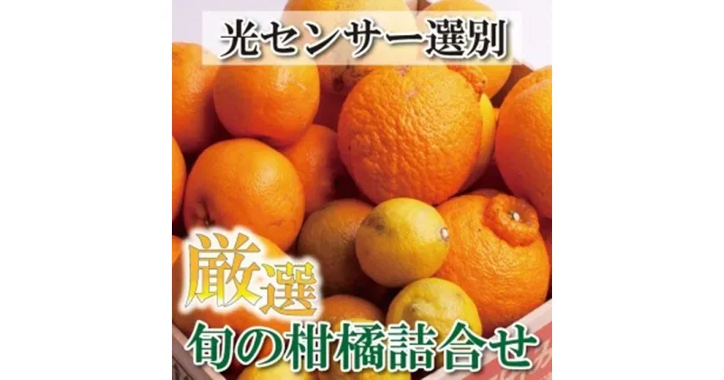 【ふるさと納税】＜1月より発送＞厳選 柑橘詰合せ5kg+150g（傷み補償分）【有田の春みかん詰め合わせ・フルーツ詰め合せ・オレンジつめあわせ】【光センサー選別】 | 和歌山県 和歌山 高野町 みかん ミカン 蜜柑 柑橘 柑橘類 かんきつ 果物 フルーツ 食品 果実