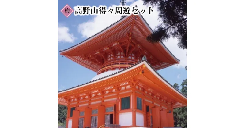 【ふるさと納税】◇高野山得々周遊セット『梅』 | 和歌山県 和歌山 高野町 観光 商品券 名所巡り 名所 高野山 チケット 金券