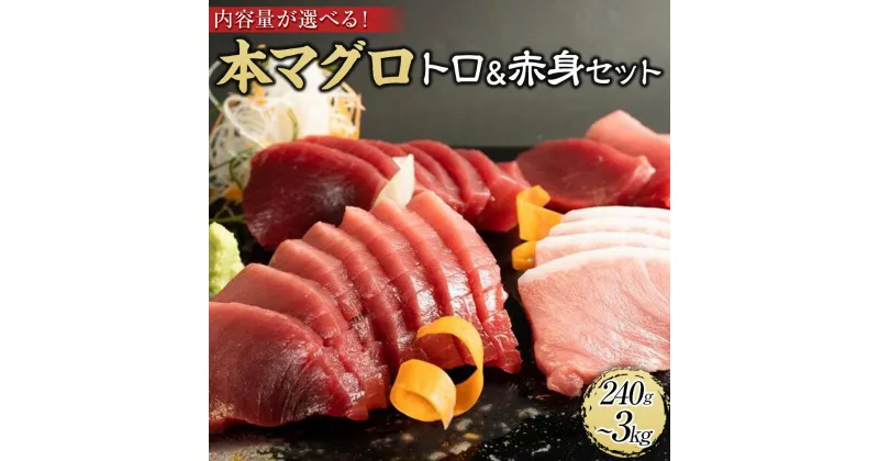 【ふるさと納税】【選べる内容量（240g・500g・1.35kg・3kg）】プレミア和歌山認証品 本マグロ（養殖）トロ＆赤身セット | 本マグロ 海鮮 まぐろ マグロ 赤身 さしみ 刺し身 刺身 お刺身 マグロ丼 寿司ネタ 鮪 ご飯のお供 ごはんのおとも ご飯のおとも おつまみ つまみ