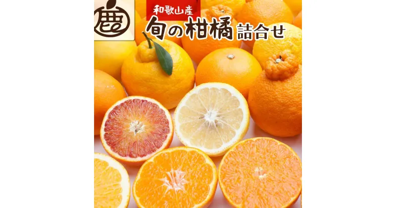 【ふるさと納税】＜1月より発送＞厳選 柑橘詰合せ3kg+90g（傷み補償分）【有田の春みかん詰め合わせ・フルーツ詰め合せ・オレンジつめあわせ】【光センサー選別】 | 和歌山県 和歌山 高野町 みかん ミカン 蜜柑 柑橘 柑橘類 かんきつ 果物 フルーツ 食品 果実