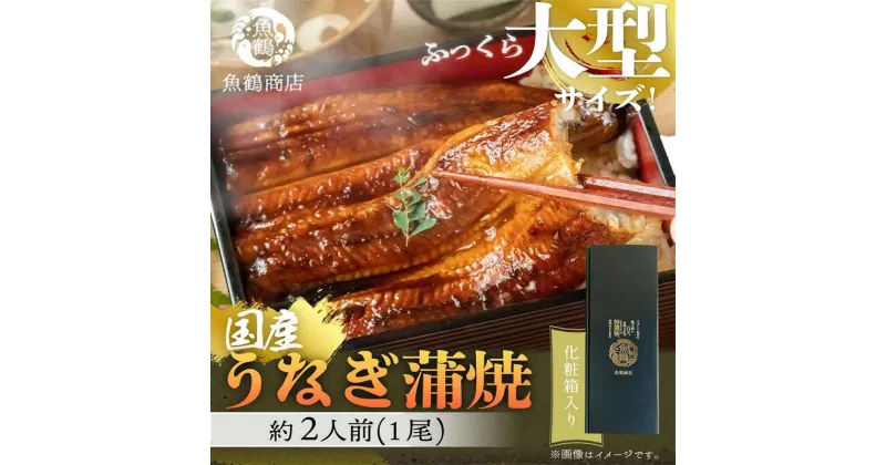 【ふるさと納税】大型サイズ 　ふっくら柔らか国産うなぎ蒲焼き　1尾（約2人前）化粧箱入 | 鰻 魚介類 水産 食品 人気 おすすめ 送料無料　国産　大型　うなぎ　蒲焼