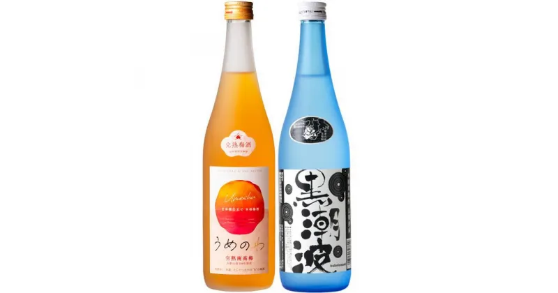 【ふるさと納税】焼酎 黒潮波（くろしおなみ）720mlと紀州完熟南高梅「梅酒」720mlの2本セット【TM19】