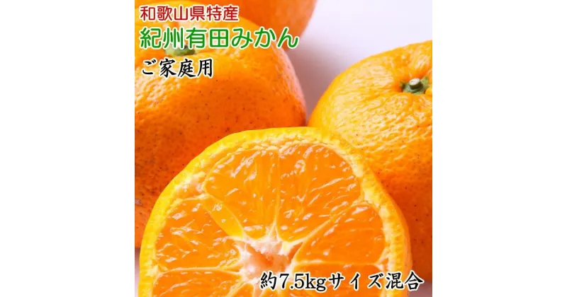 【ふるさと納税】和歌山有田みかん7.5kg ご家庭用 (サイズ混合) ★2024年11月中旬頃より順次発送【TM103】