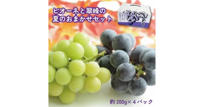 【ふるさと納税】【数量限定】ピオーネと翠峰の夏のおまかせセット約200g×4パック★2025年8月下旬頃より順次発送【TM183】 | フルーツ 果物 くだもの 食品 人気 おすすめ 送料無料