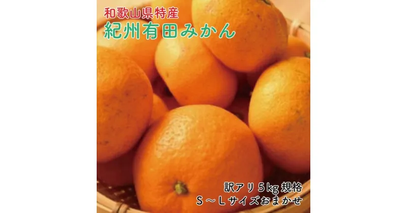 【ふるさと納税】【訳あり】和歌山有田みかん約5kg（S～Lサイズいずれかお届け）★2024年11月中旬頃より順次発送【TM81】 | 楽天ふるさと 納税 みかん ミカン 蜜柑 柑橘 柑橘類 かんきつ 果物 くだもの フルーツ 旬の果物 食品 食べ物 高野山