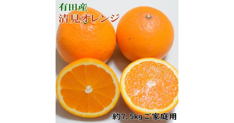 【ふるさと納税】【濃厚】有田産清見オレンジ約7.5kg(サイズおまかせ、または混合)ご家庭用★2025年2月上旬頃より順次発送【TM46】