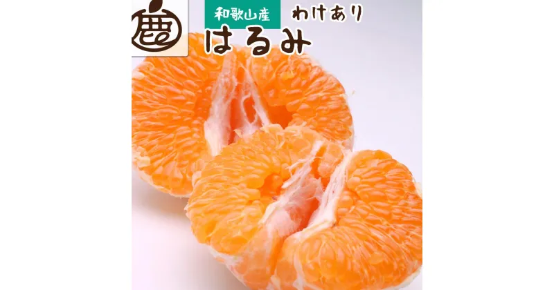 【ふるさと納税】＜2月より発送＞家庭用 はるみ4kg+120g（傷み補償分）【デコポンの姉妹品種・新食感春みかん】【光センサー選別】【わけあり・訳あり】 | 和歌山県 和歌山 高野町 楽天ふるさと 納税 みかん ミカン 蜜柑 柑橘 かんきつ 果物 くだもの フルーツ 果実