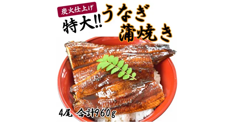 【ふるさと納税】うなぎ蒲焼き4尾入り 960g（蒲焼たれ8袋 山椒付き）【KS7】 | うなぎ 冷凍 蒲焼 4尾 960g たれ付 山椒付 和歌山県 高野町 和歌山 高野山 カット鰻 鰻 カット ウナギ うな重 ひつまぶし かばやき