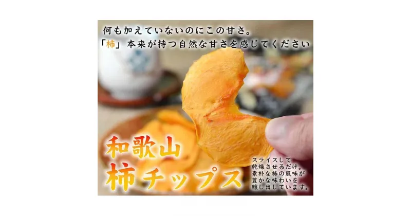 【ふるさと納税】やわらか柿チップス 80g 6パック かきチップ 紀州味紀行 柿和歌 無添加 紀伊国屋文左衛門本舗【TC10】 | 食品 加工食品 人気 おすすめ 送料無料