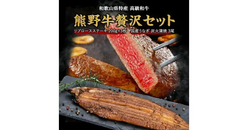 【ふるさと納税】豪華限定企画！熊野牛ステーキと国産炭火焼鰻の贅沢うな牛セットB【MT28】 | 食品 人気 おすすめ 送料無料 ギフト