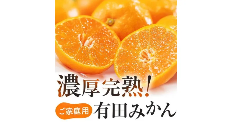 【ふるさと納税】ご家庭用 濃厚完熟 有田みかん 約4～10kg 【2024年11月～2025年1月発送】 農家直送 訳あり | 有田みかん みかん ミカン 完熟 フルーツ 果物 くだもの 食品 人気 おすすめ 送料無料 農家直送