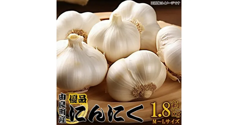 【ふるさと納税】由良町産にんにく 優品 約1.8kg(900g×2／M～Lサイズ)【SL18】 | 菜 やさい 食品 人気 おすすめ 送料無料