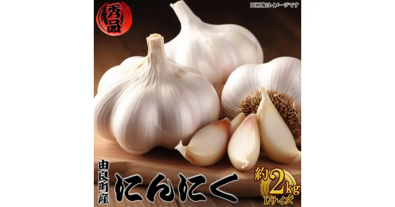 【ふるさと納税】由良町産にんにく 秀品 Lサイズ 約2kg(1kg×2)【SL19】 | 菜 やさい 食品 人気 おすすめ 送料無料