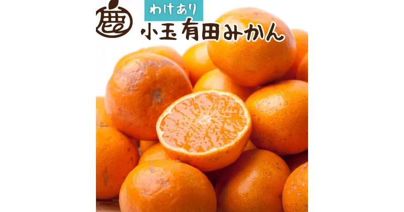 【ふるさと納税】＜11月より発送＞家庭用　小玉な有田みかん5kg+150g（傷み補償分）【わけあり・訳あり】【光センサー選果】 | 柑橘 蜜柑 有田みかん みかん フルーツ 果物 くだもの 食品 人気 おすすめ 送料無料