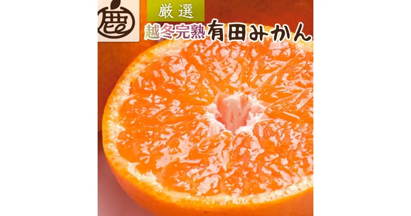 【ふるさと納税】＜1月より発送＞厳選　越冬完熟みかん5kg+150g（傷み補償分）【ハウスみかん】【光センサー選果】 | 柑橘 蜜柑 有田みかん みかん フルーツ 果物 くだもの 食品 人気 おすすめ 送料無料