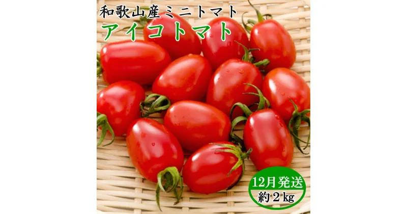 【ふるさと納税】【2024年12月出荷分】和歌山産ミニトマト「アイコトマト」約2kg（S・Mサイズおまかせ）【TM158】 | はるか フルーツ 果物 くだもの 食品 人気 おすすめ 送料無料