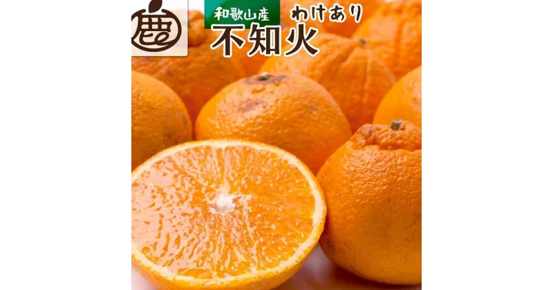 【ふるさと納税】＜2月より発送＞家庭用 不知火5kg+150g（傷み補償分）【デコポンと同品種・人気の春みかん】【わけあり・訳あり】【光センサー選別】 | フルーツ 果物 くだもの 食品 人気 おすすめ 送料無料