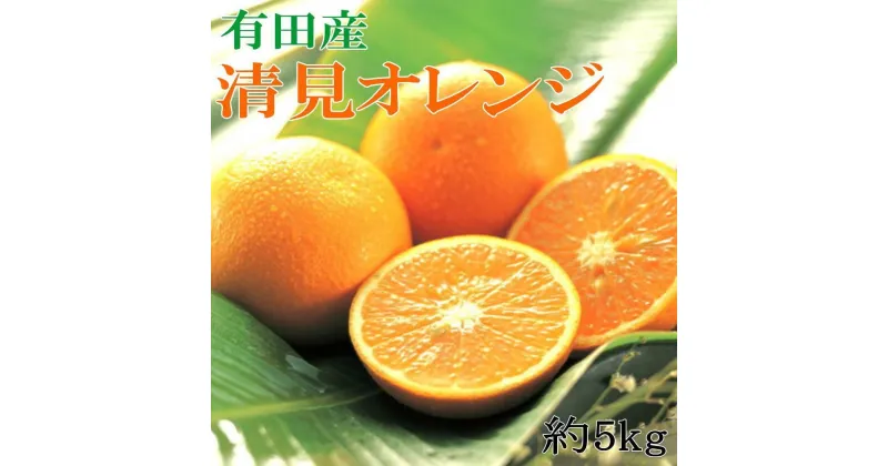 【ふるさと納税】【濃厚】農家さん直送の清見オレンジ 約5kg（サイズおまかせ・秀品）★2025年2月上旬頃より順次発送【TM152】 | フルーツ 果物 くだもの 食品 人気 おすすめ 送料無料