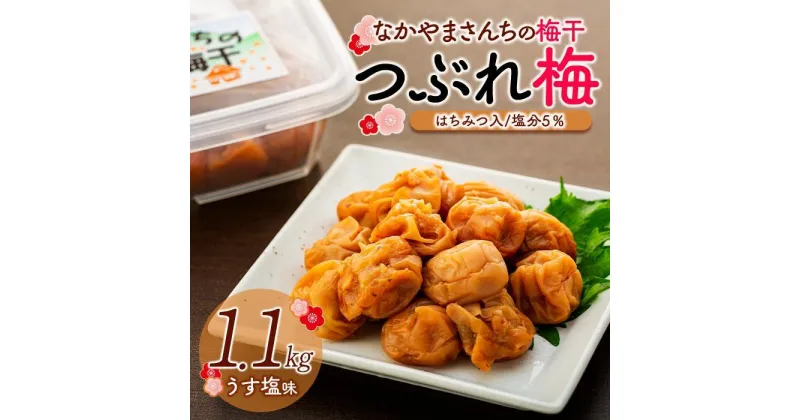 【ふるさと納税】なかやまさんちの梅干（1.1kg×1箱）うす塩（はちみつ入）塩分5％【訳あり】【つぶれ梅】 | 梅ぼし うめぼし うめ干し うめ 南高梅 蜂蜜 ご飯 ごはん おにぎり 国産 お取り寄せ 人気 おすすめ 美味しい 和歌山県 高野町 なかやまさんち