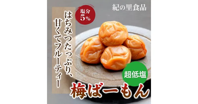 【ふるさと納税】梅ばーもん　500g【Kn17】 | 梅干 うめぼし 家庭用 梅 国産 食品 人気 梅干し 取り寄せ グルメ ご飯のお供 お得 わけあり 楽天ふるさと納税 和歌山県 高野町 和歌山県高野町 高野山