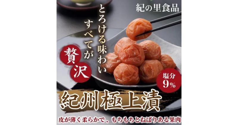 【ふるさと納税】紀州極上漬　500g【Kn14】 | 梅干 うめぼし 家庭用 梅 国産 食品 人気 梅干し 取り寄せ グルメ ご飯のお供 お得 わけあり 楽天ふるさと納税 和歌山県 高野町 和歌山県高野町 高野山