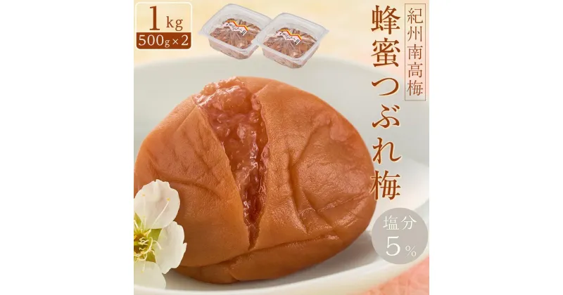 【ふるさと納税】紀州南高梅　蜂蜜つぶれ梅　塩分5％　1kg（500g×2)【Kn22】 | 梅干 うめぼし 家庭用 梅 国産 食品 人気 梅干し 取り寄せ グルメ ご飯のお供 お得 わけあり 楽天ふるさと納税 和歌山県 高野町 和歌山県高野町 高野山