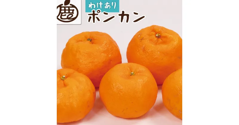 【ふるさと納税】＜1月より発送＞家庭用 ポンカン5kg+150g（傷み補償分）【訳あり・わけあり】【光センサー選別】【IKE24】 | 柑橘 フルーツ 果物 くだもの 食品 人気 おすすめ 送料無料