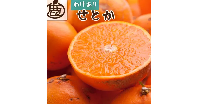 【ふるさと納税】＜2月より発送＞家庭用 せとか3kg+90g（傷み補償分）【柑橘・春みかんの王様】【わけあり・訳あり】【IKE63】 | 柑橘 フルーツ 果物 くだもの 食品 人気 おすすめ 送料無料