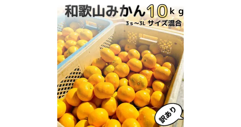 【ふるさと納税】【訳あり】和歌山みかん 約9.5kg+補償分約500g サイズ混合 11月より順次発送 訳ありみかん 【red1】 | みかん 蜜柑 フルーツ 果物 くだもの 食品 人気 おすすめ 送料無料 産地直送