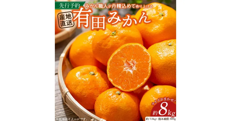 【ふるさと納税】【2024年 先行予約】有田みかん約7.5kg(+傷み補填分500g)=合計8kg【サイズおまかせ】／産地直送／紀伊国屋文左衛門本舗（お届け日指定不可）