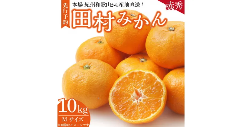 【ふるさと納税】【先行予約】 期間限定 田村みかん 10kg Mサイズ 赤秀 特選 最高ランク 最高ブランド ギフト 贈り物 贈答 濃厚 ジューシー フルーツ 果実 果物 柑橘 みかん ノーワックス 国産 食べ物 産地直送 紀伊国屋文左衛門本舗 お取り寄せ 和歌山県 湯浅町 送料無料