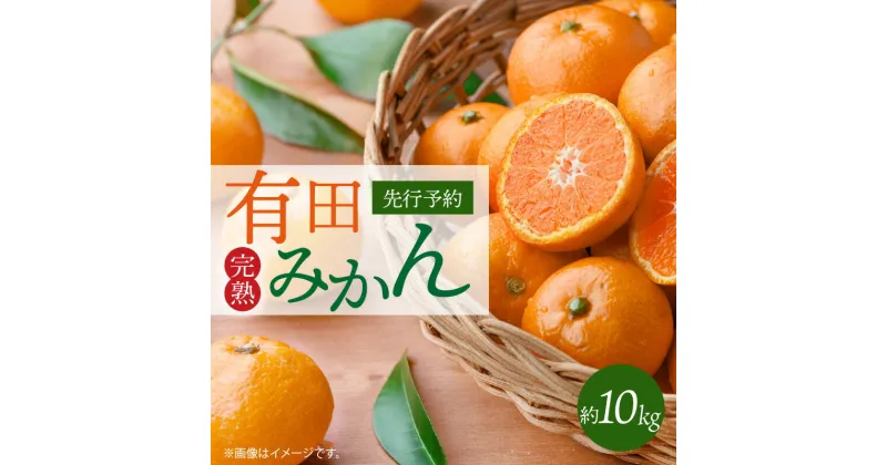 【ふるさと納税】【限定】 【先行予約】完熟 有田みかん 約 10kg 美味しい 味わい コク 深い 完熟みかん 果物 果実 柑橘 フルーツ みかん 有田みかん 温州みかん 濃厚 お取り寄せ 産地直送 和歌山県 湯浅町 紀州有田産 送料無料