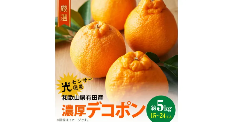 【ふるさと納税】【限定】 デコポン 約 5kg 15玉 18玉 20玉 24玉 サイズおまかせ 不知火 フルーツ 果物 デザート 柑橘 果実 濃厚 甘味 酸味 国産 食品 食べ物 お取り寄せスイーツ 和歌山県 湯浅町 有田産 有田マルシェ 送料無料