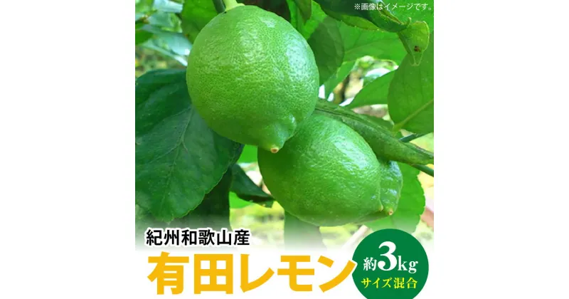 【ふるさと納税】【国産】 高評価★5 紀州和歌山産 有田レモン 3kg (サイズ混合)【国産 レモン 柑橘 フルーツ 和歌山】