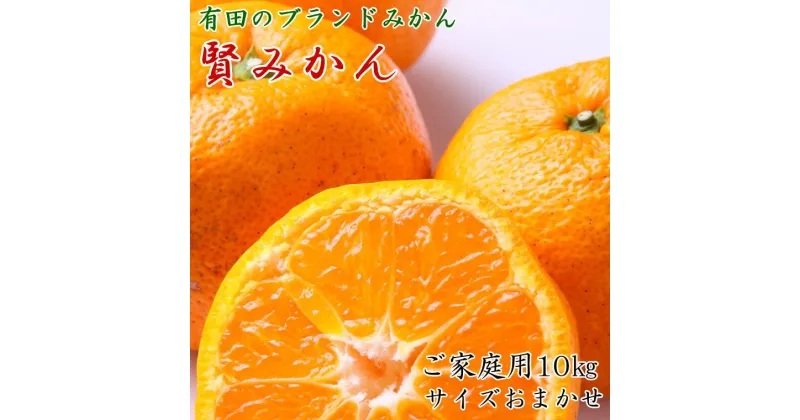 【ふるさと納税】【先行予約】【家庭用】有田ブランド 賢みかん 10kg（S～Lサイズおまかせまたは混合）［2024年11月中旬より順次発送］【ミカン 蜜柑 柑橘 温州みかん 有田みかん】