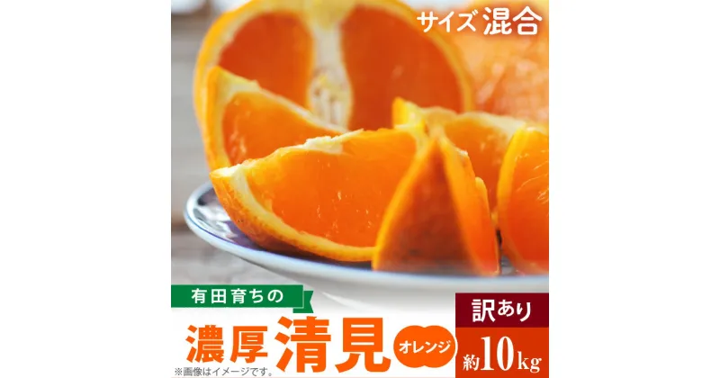 【ふるさと納税】【先行予約】有田育ちの 濃厚 清見 オレンジ 【訳あり 家庭用】10kg (サイズ混合)【清見 みかん タンゴール 柑橘 フルーツ 和歌山 有田】