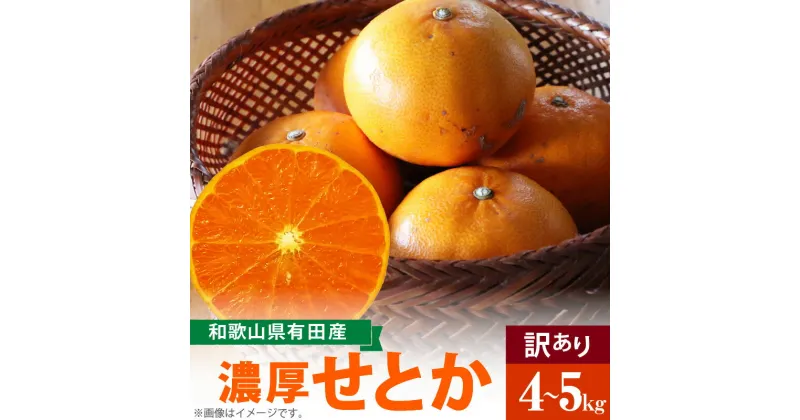 【ふるさと納税】【限定】 柑橘の王様 和歌山有田の濃厚せとか 【訳あり 家庭用】 4～5kg【ミカン 蜜柑 春みかん 柑橘】