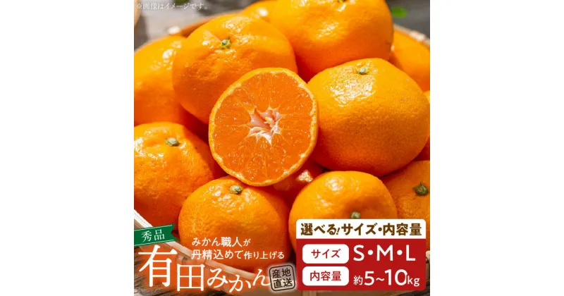 【ふるさと納税】【先行予約】 高評価 有田みかん 秀品 サイズ S ～ L 内容量 選べる 5kg 10kg 濃厚 ジューシー 有田 みかん 温州みかん フルーツ 果実 果物 デザート 柑橘 国産 食品 食べ物 期間限定 お取り寄せ 和歌山県 湯浅町 送料無料 紀伊国屋文左衛門本舗