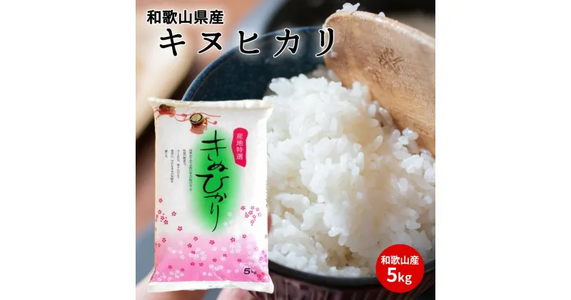 【ふるさと納税】【先行受付】 和歌山県産キヌヒカリ 5kg【きぬひかり 送料無料 白米 上白米 国産米 キヌヒカリ お米ギフト 米 精米】