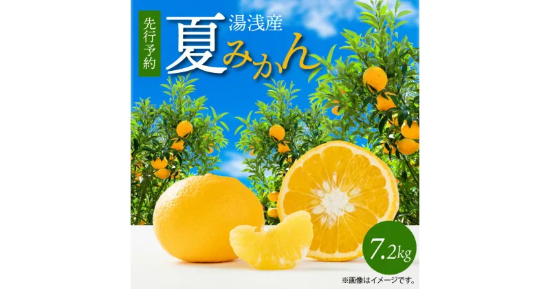 【ふるさと納税】【限定】 【先行予約】湯浅産 夏みかん 7.2kg【ミカン 蜜柑 夏ミカン 柑橘 和歌山 有田】