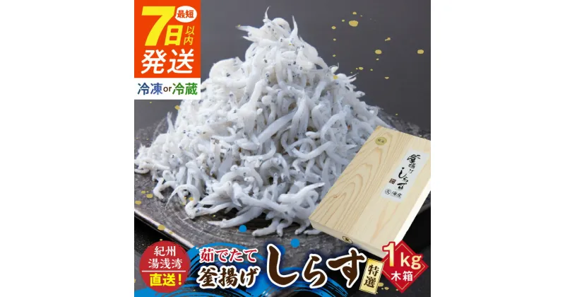 【ふるさと納税】【限定】 冷蔵 冷凍 選べる 紀州湯浅湾直送！特選 茹でたて釜揚げしらす 木箱 1kg