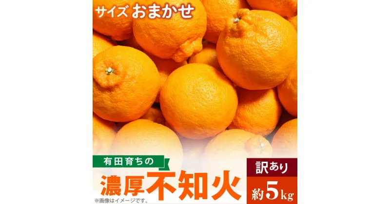 【ふるさと納税】 (先行予約）有田育ちの濃厚 不知火 (デコポンと同品種)（訳あり 家庭用）5kg