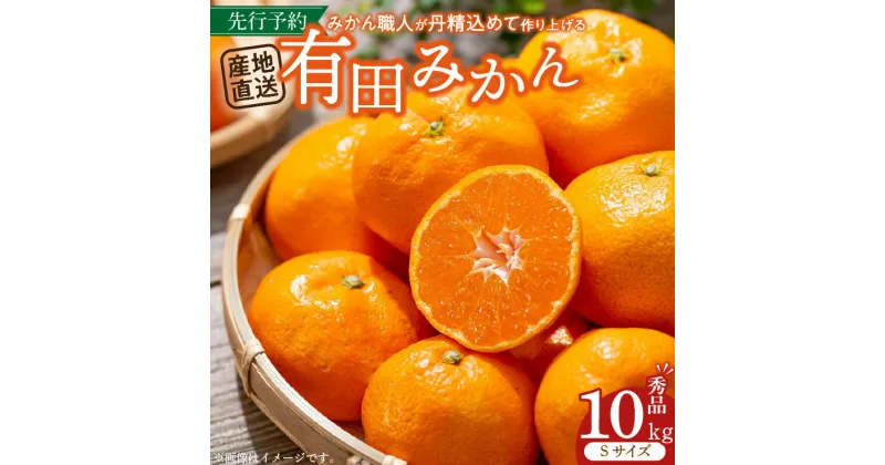 【ふるさと納税】 【先行予約】 有田みかん 10kg Sサイズ 産地直送 国産 有田 みかん 温州みかん ブランドみかん 柑橘 果物 フルーツ 果実 程よい酸味 濃厚 コク ジューシー 果汁 ノーワックス 紀伊国屋文左衛門本舗 和歌山県 湯浅町 送料無料