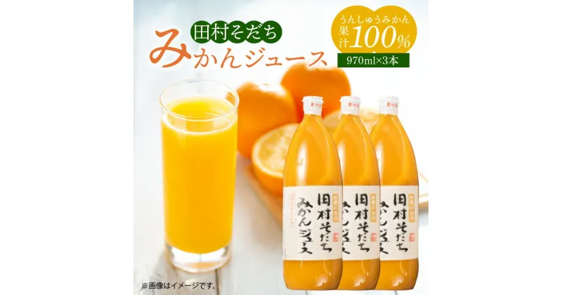 【ふるさと納税】【限定】 果汁100％ 田村そだち みかんジュース 970ml×3本【和歌山 ミカンジュース ストレート 果汁100%】