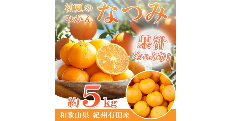 【ふるさと納税】【限定】 初夏のみかん なつみ 5kg【ミカン 蜜柑 柑橘 和歌山 有田 南津海】