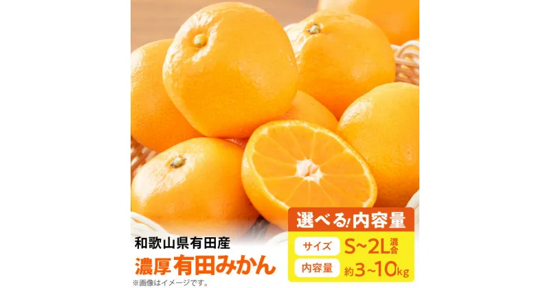 【ふるさと納税】【先行予約】【農家直送】濃厚 有田みかん サイズ混合 選べる容量 3kg ～ 10kg【ミカン 蜜柑 オレンジ 柑橘 温州みかん 和歌山 有田】