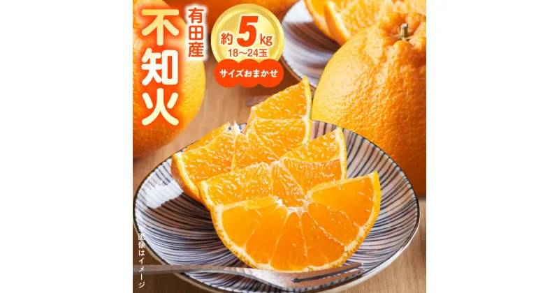 【ふるさと納税】【限定】 高評価 和歌山県有田産 不知火 5kg ひとつひとつ手選別で厳選！生産者から直送【でこぽん デコポン しらぬい 不知火 柑橘 和歌山】