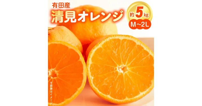 【ふるさと納税】【限定】 和歌山県有田産 完熟 清見オレンジ 5kg ひとつひとつ丁寧に厳選！生産者から直送【清見 みかん オレンジ タンゴール きよみ 柑橘 和歌山 有田】